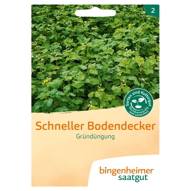 Bingenheimer Saatgut Schneller Bodendecker - Gründüngung (Saatgut) - Produktbild