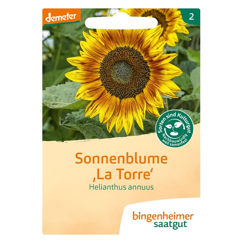 Bingenheimer Saatgut Sonnenblume La Torre - Produktbild