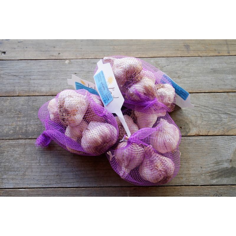 Bingenheimer Saatgut Flavor - Steckknoblauch (Pflanzgut) - Produktbild