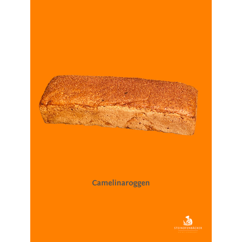 Steinofenbäcker Camelina Roggenmisch - Produktbild