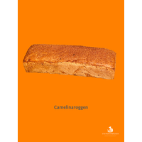 Camelina Roggenmisch - Produktbild