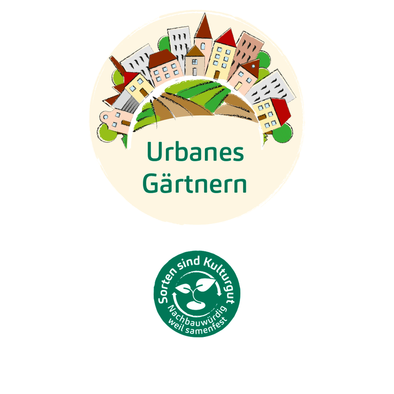Bingenheimer Saatgut Mein Hochbeet (Urbanes Gärtnern) - Produktbild
