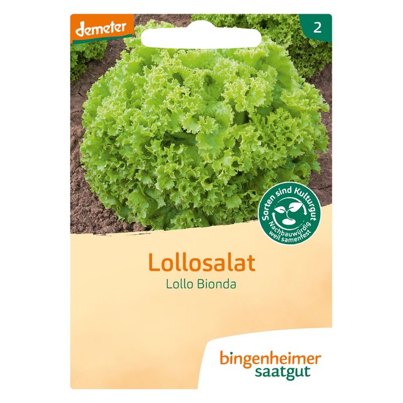 Bingenheimer Saatgut Lollo Bionda - Lollosalat (Saatgut) - Produktbild