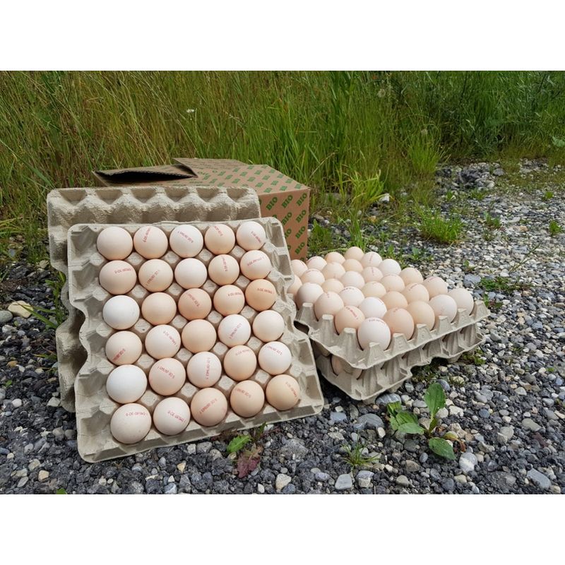 Biovum / Eggerhof Bio-Eier (Bioland), 90er Kl. L, Kl. M / 3x30 Eier = 90 Stk/Karton - Produktbild