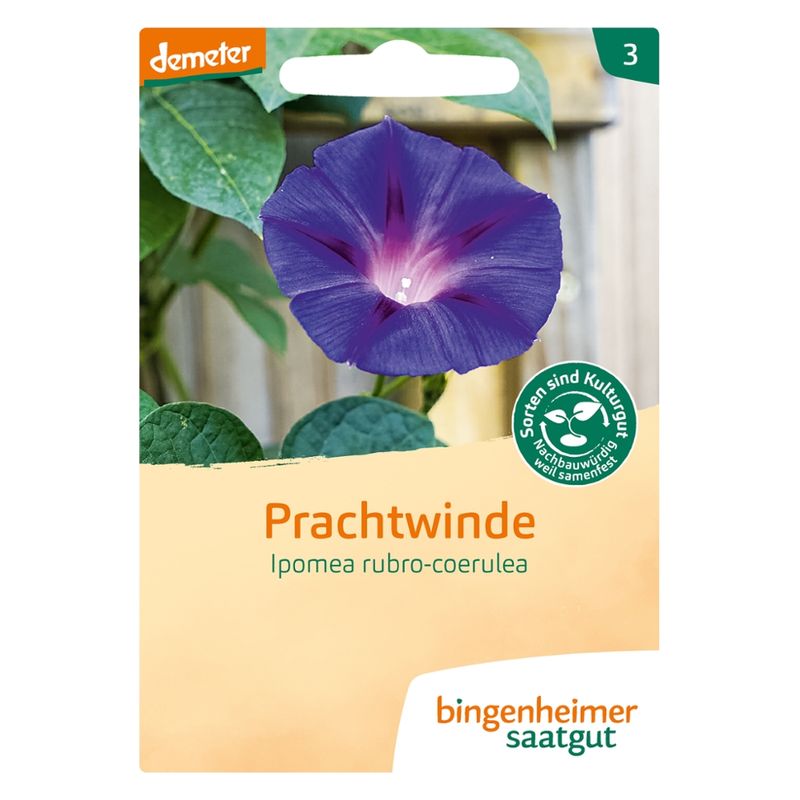 Bingenheimer Saatgut Prachtwinde - Blumen (Saatgut) - Produktbild