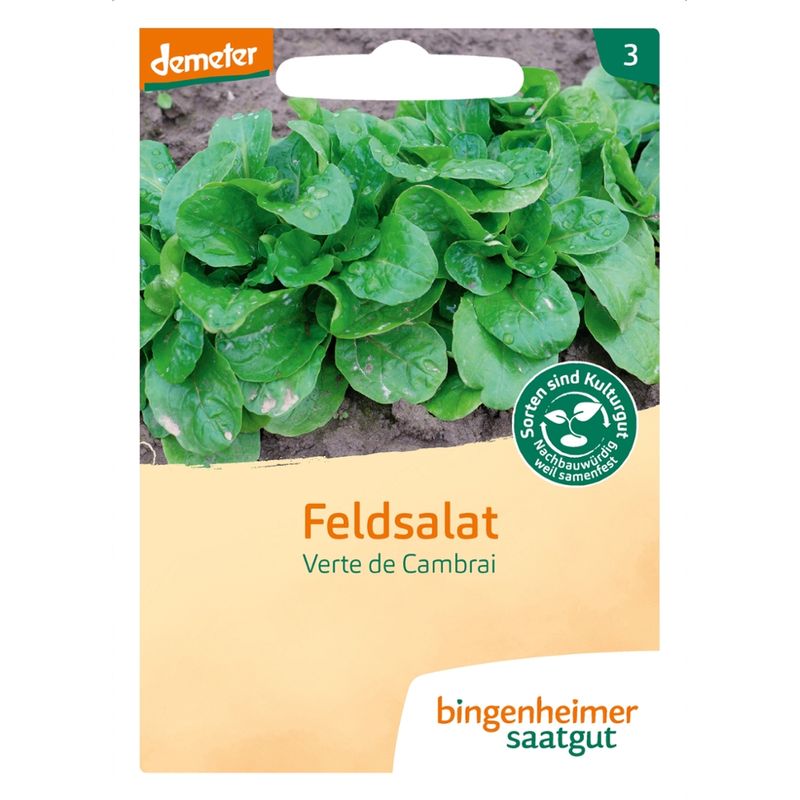 Bingenheimer Saatgut Verte de Cambrai - Feldsalat - Produktbild