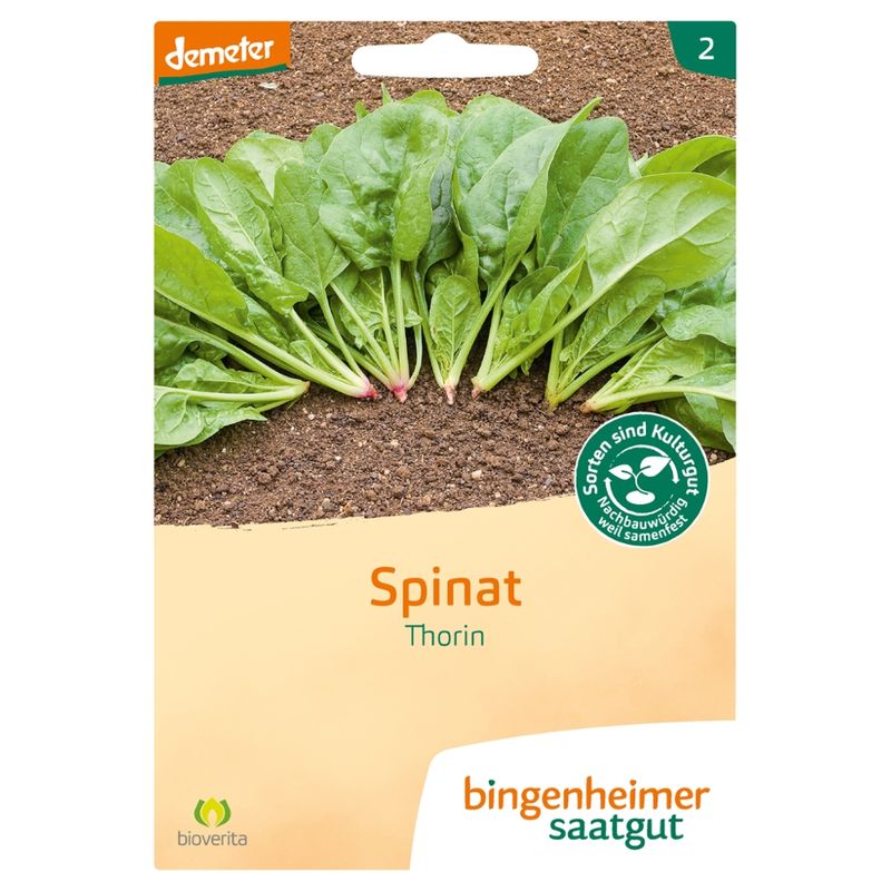 Bingenheimer Saatgut Thorin - Spinat (Saatgut) - Produktbild