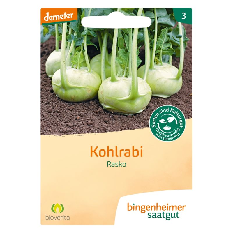 Bingenheimer Saatgut Rasko - Kohlrabi (Saatgut) - Produktbild