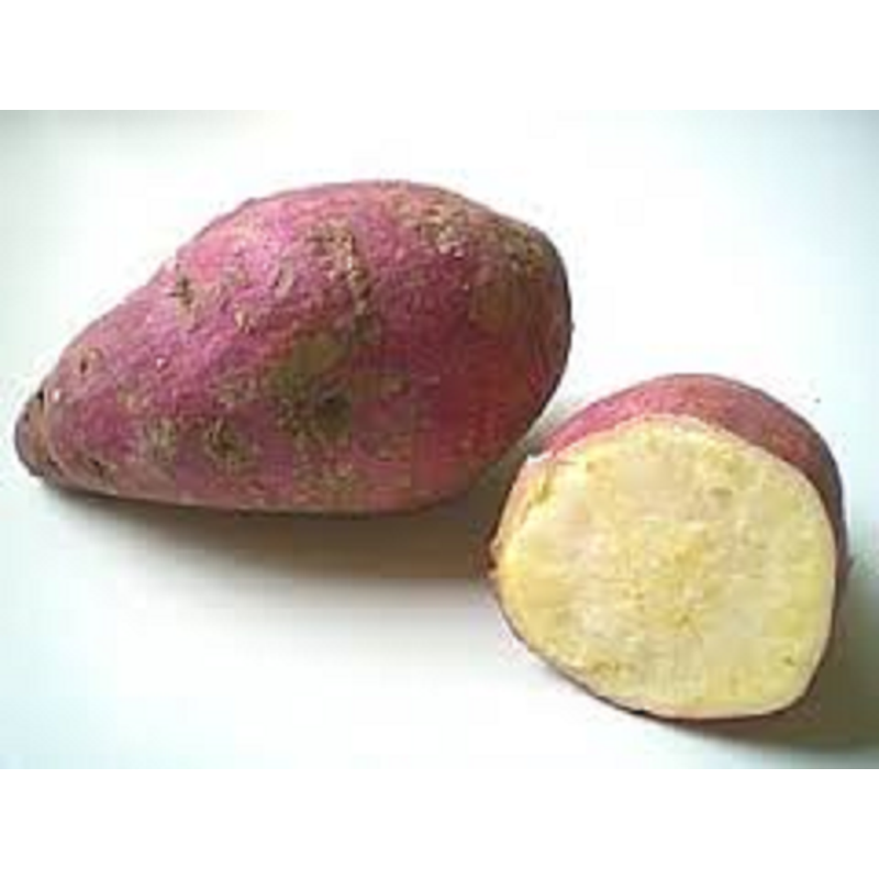 Kipepeo Süßkartoffel frisch Uganda - Produktbild