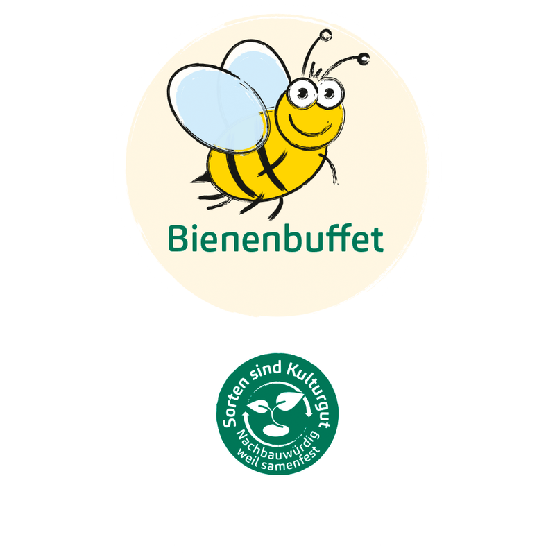 Bingenheimer Saatgut Bienenbuffet - Produktbild