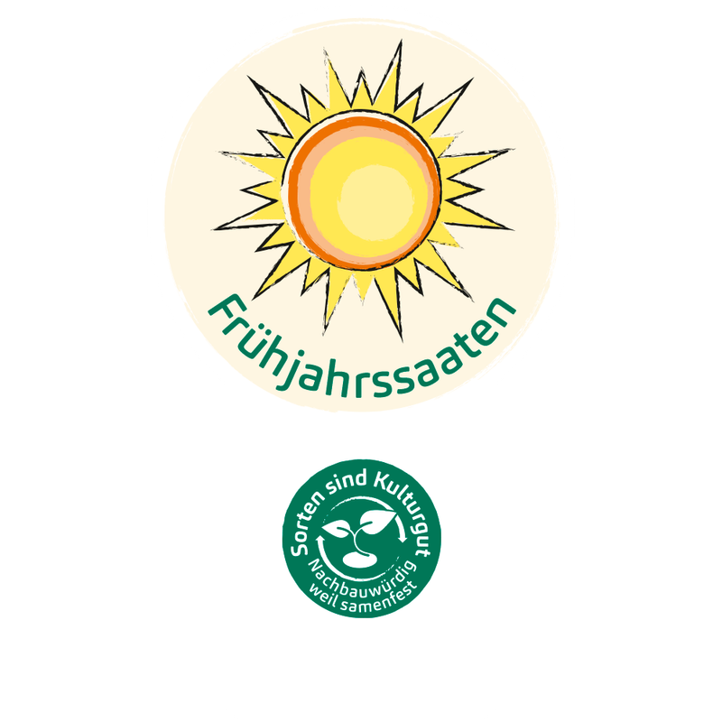 Bingenheimer Saatgut Mein Frühbeet (Frühjahrssaaten) - Produktbild