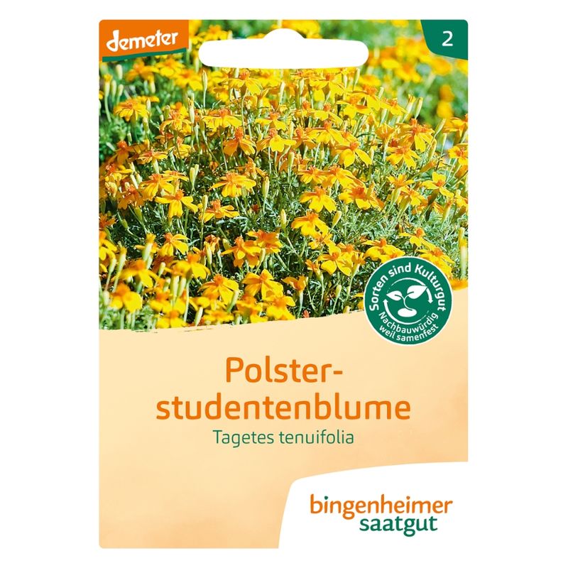 Bingenheimer Saatgut Polsterstudentenblume - Blumen (Saatgut) - Produktbild