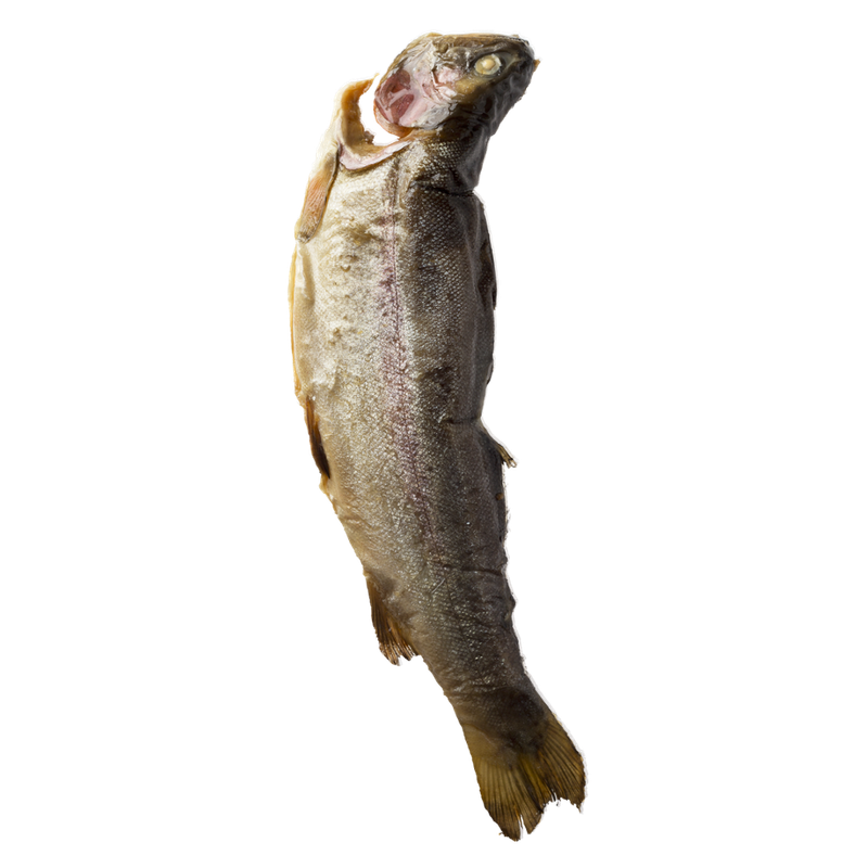 TAGWERK Forelle ganz geräuchert von der Fischzucht Baumgartner - Produktbild