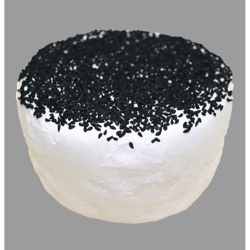 Anderlbauer (dennree) 100% Bio-Ziegenbrie mit Schwarzkümmel 132322 - Produktbild