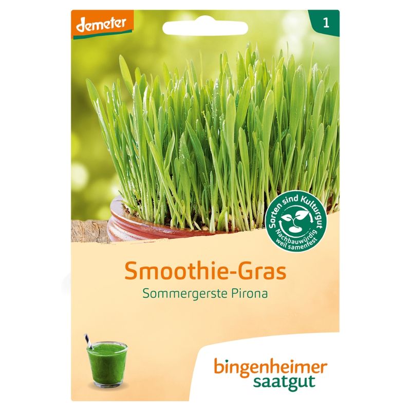 Bingenheimer Saatgut Smoothie-Gras Sommergerste Pirona (Saatgut) - Produktbild