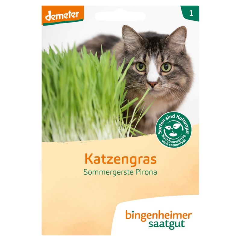 Bingenheimer Saatgut Katzengras - Sommergerste Pirona (Saatgut) - Produktbild