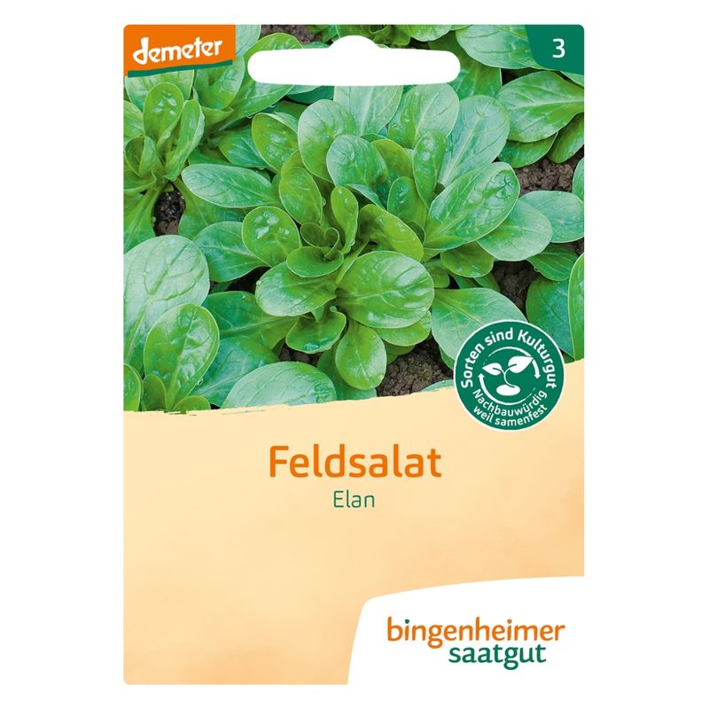 Bingenheimer Saatgut Elan - Feldsalat - Produktbild