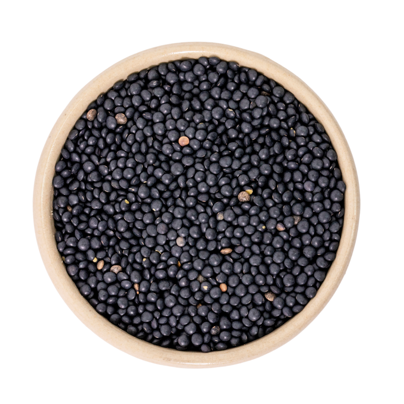 Bode Naturkost Linsen schwarz bio (Beluga) 5kg - Produktbild