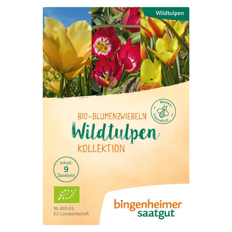 Bingenheimer Saatgut Wildtulpen Kollektion - Blumenzwiebeln (Steckgut) - Produktbild