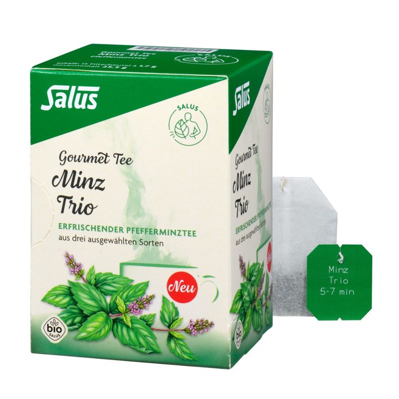Salus® Gourmet Tee Minz Trio bio 15 FB - Produktbild