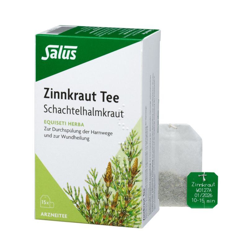 Salus® Zinnkraut Tee 15 FB - Produktbild