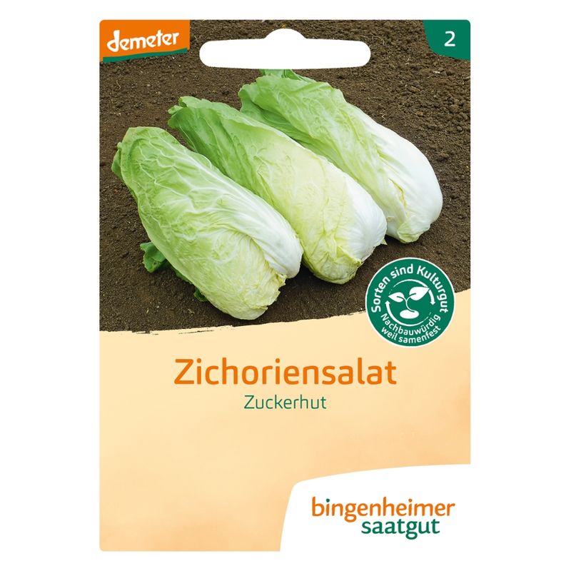 Bingenheimer Saatgut Zuckerhut - Zuckerhut (Saatgut) - Produktbild