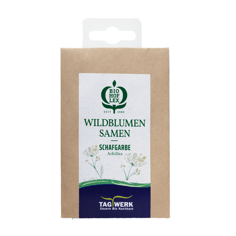 TAGWERK Wildblumensamen Schafgarbe - Produktbild
