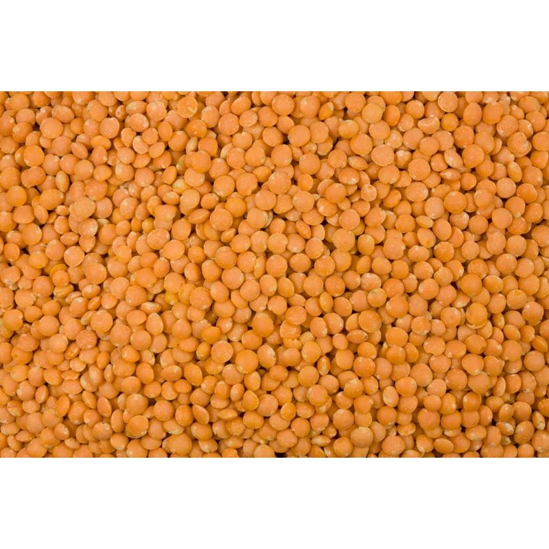 Bode Naturkost Linsen rot bio 5 kg - Produktbild