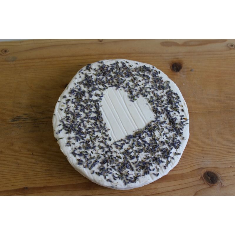 Hof Steinrausch Steinrauscher Ziegenbrie mit Lavendel - Produktbild
