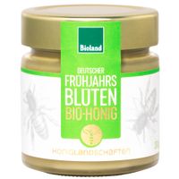 Frühjahrsblüten Bio-Honig 300g - Produktbild