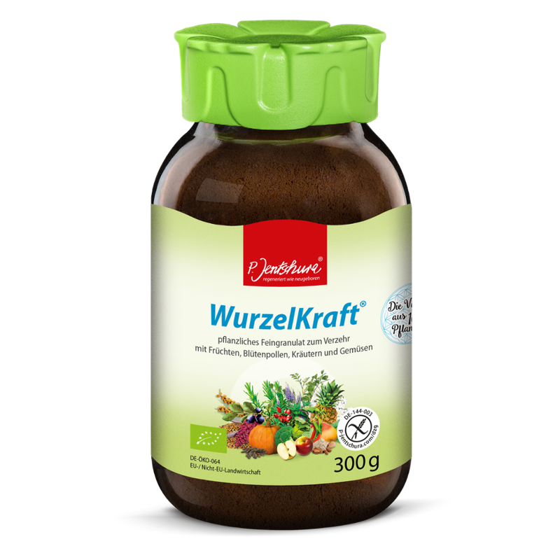 P. Jentschura P. Jentschura WurzelKraft BIO 300g - Produktbild