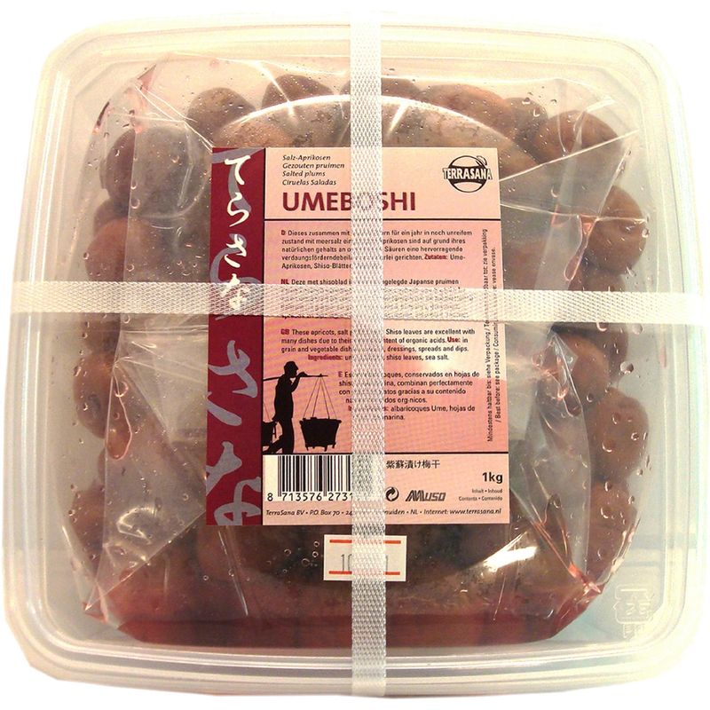 TS-Import Umeboshi - Produktbild