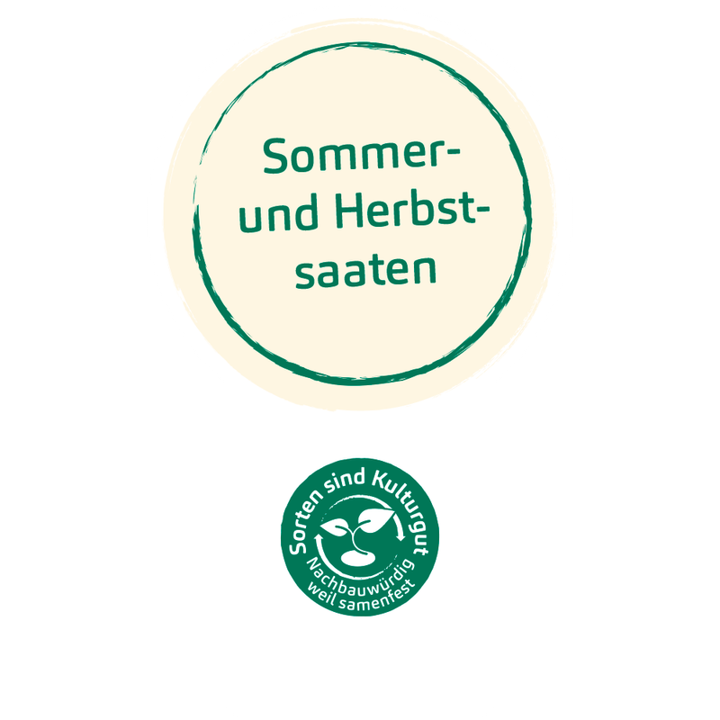 Bingenheimer Saatgut Wintergemüse (Herbstaussaaten) - Produktbild