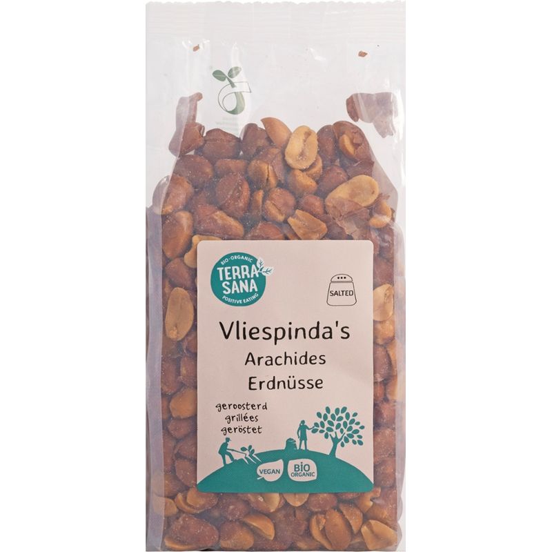 TerraSana Erdnüsse mit Vlies, geröstet und gesalzen - Produktbild