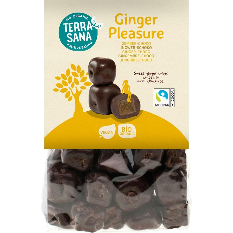 TerraSana Ginger Pleasure - Produktbild