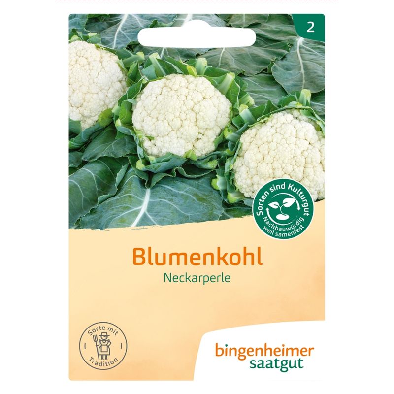 Bingenheimer Saatgut Neckarperle - Blumenkohl (Saatgut) - Produktbild