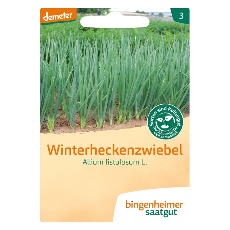 Bingenheimer Saatgut Winterheckenzwiebel (Saatgut) - Produktbild