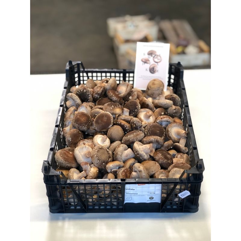 Pilzgarten Demeter-Shiitake (2 kg) - Produktbild