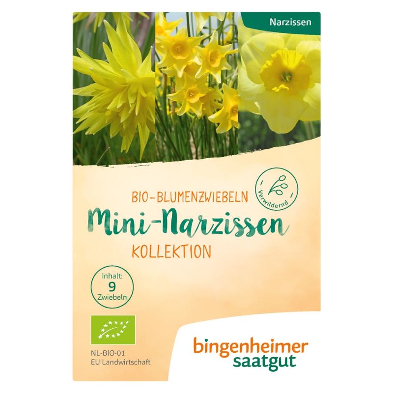 Bingenheimer Saatgut Mini-Narzissen Kollektion - Blumenzwiebeln (Steckgut) - Produktbild