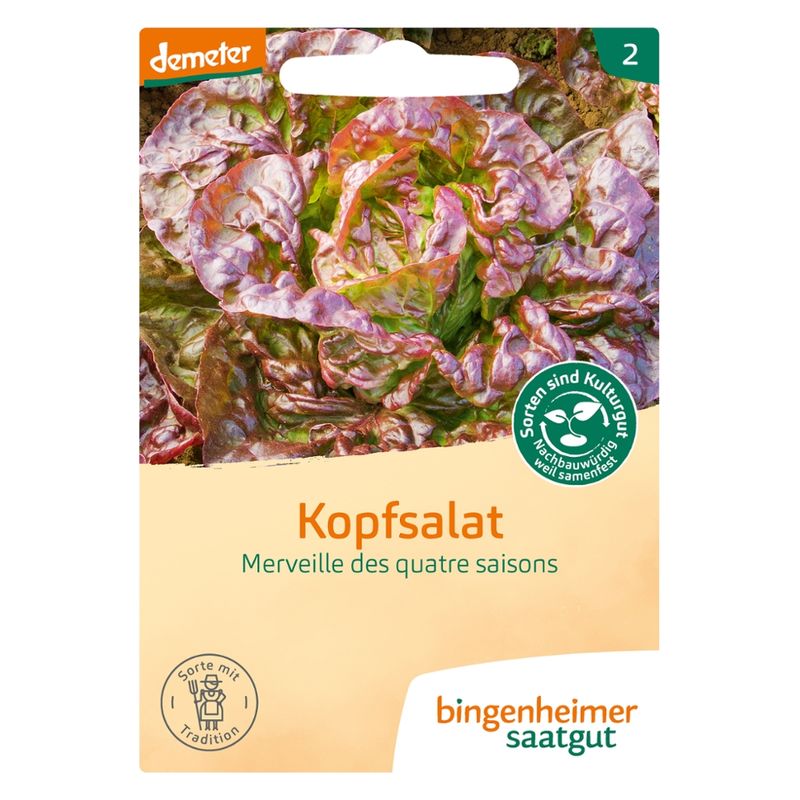 Bingenheimer Saatgut Merveille des quatre saisons - Kopfsalat (Saatgut) - Produktbild