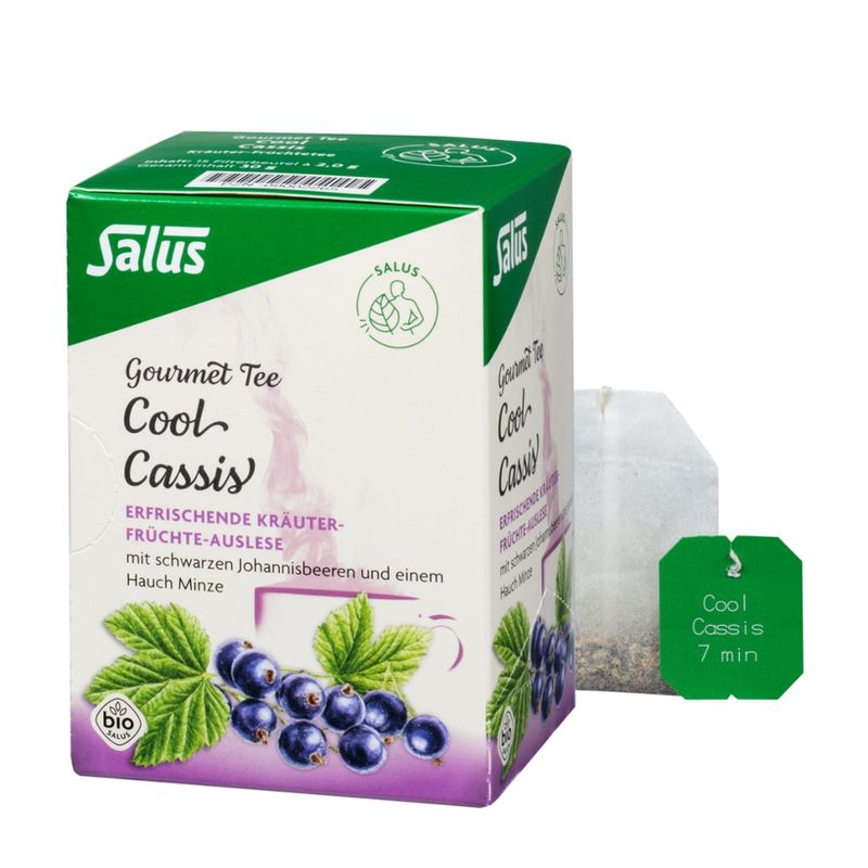 Salus® Salus® Gourmet Cool Cassis Kräutertee bio 15 FB - Produktbild