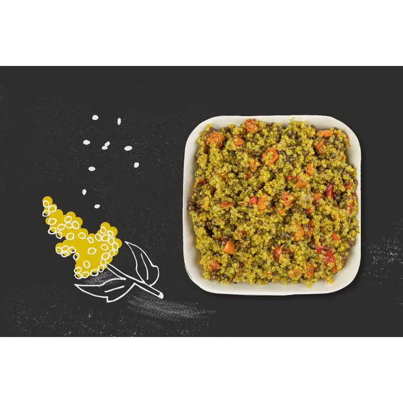 PUR Bio-Manufaktur PUR Quinoasalat mit Belugalinsen und Minze (Gastro Verpackung) - Produktbild