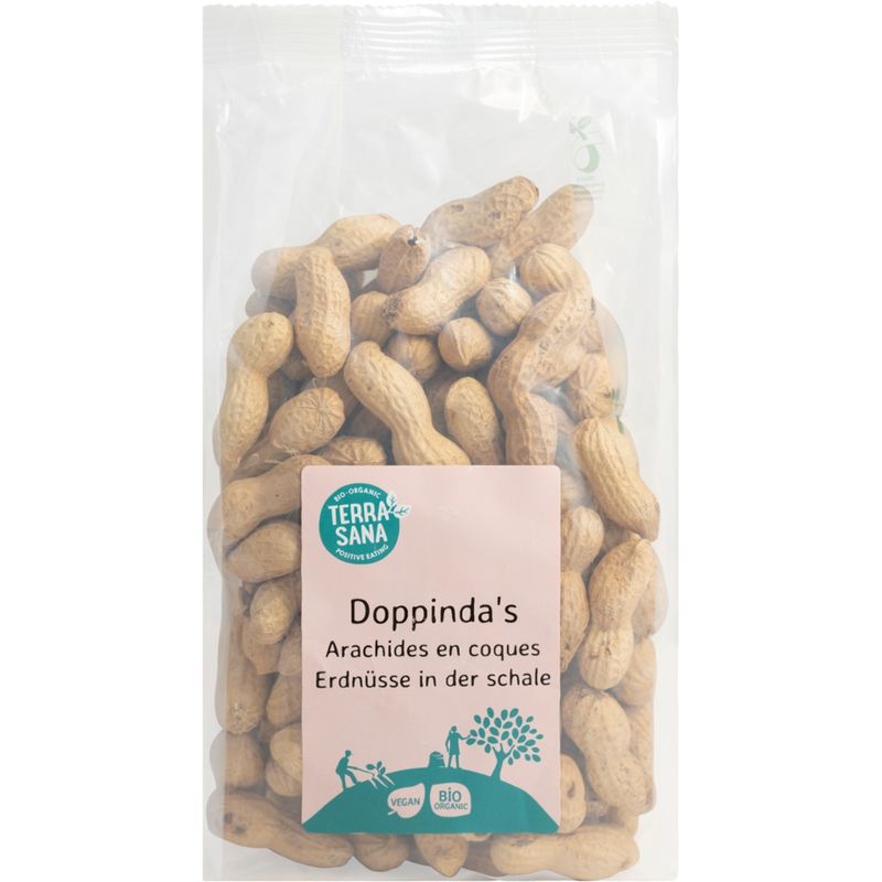 TerraSana Erdnüsse in der Schale - Produktbild