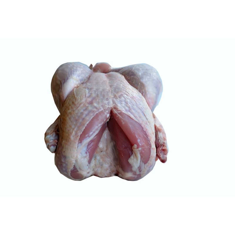 bioladen Pute, 7 - 8 kg - Produktbild