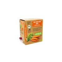 Bio Karottensaft, milchsauer fermentiert - Produktbild