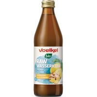 RAW Wasserkefir Zitrone Ingwer - Produktbild