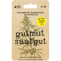 Cannabissamen (3Stk) - Lemon Amnesia 1:1 (Auto) - Produktbild