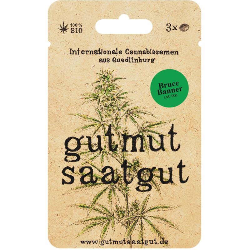 gutmut saatgut Cannabissamen (3Stk) - Bruce Banner (Auto): Bruce Banner (Auto) ist dein einfach anzubauender Kraftprotz für hohe Erträge und kreative, fokussierte Energie in 8-9 Wochen. - Produktbild