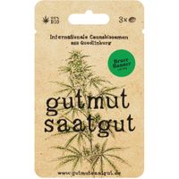 Cannabissamen (3Stk) - Bruce Banner (Auto) - Produktbild