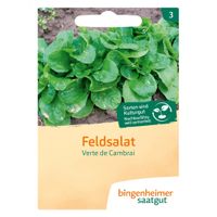 Feldsalat Verte de Cambrai - Produktbild